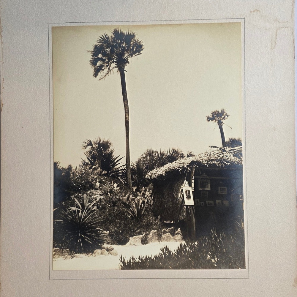 Vtg Mid Century A.L. Wells Silver Gelatin Photo Palms Thatch Hut 16x20 Tropical
